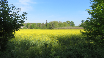 photo de la randonne