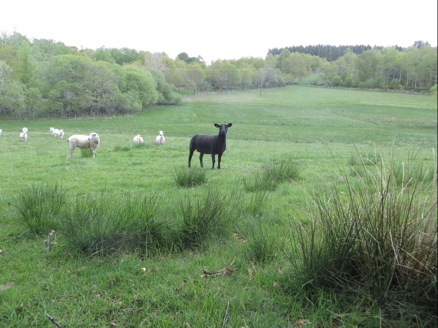 photo du diaporama