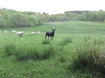 photo de la randonne