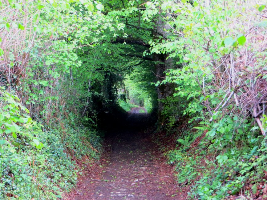 photo du diaporama