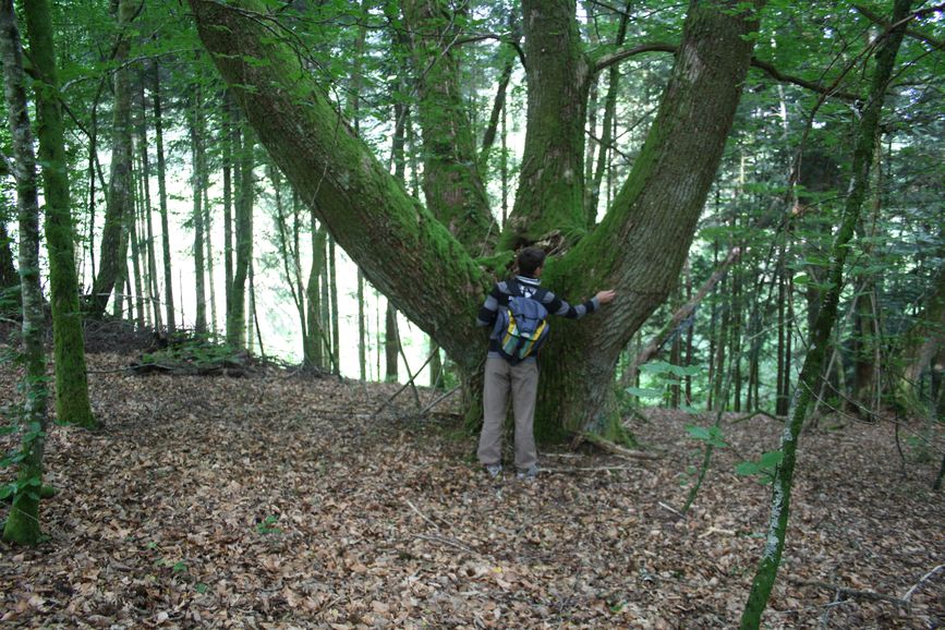photo du diaporama
