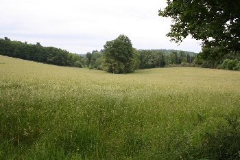 photo de la randonne