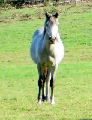 diaporama de la randonne