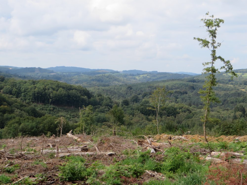 photo du diaporama