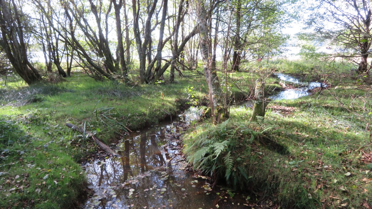 photo du diaporama